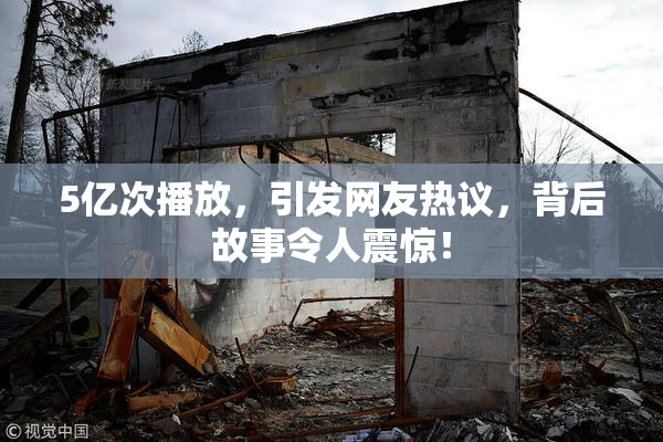 5亿次播放，引发网友热议，背后故事令人震惊！