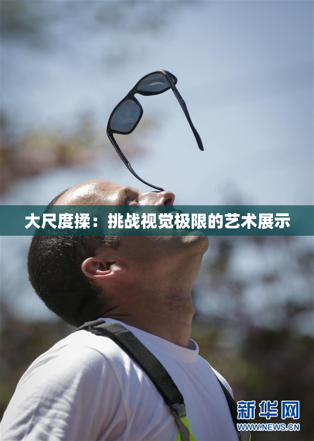 大尺度揉：挑战视觉极限的艺术展示