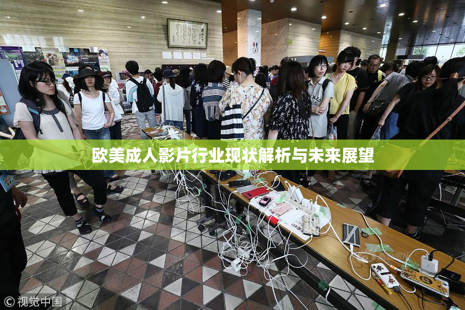 欧美成人影片行业现状解析与未来展望