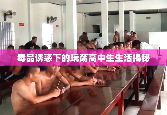 毒品诱惑下的玩荡高中生生活揭秘