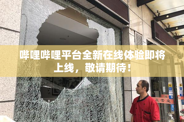 哔哩哔哩平台全新在线体验即将上线，敬请期待！