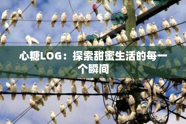 心糖LOG：探索甜蜜生活的每一个瞬间