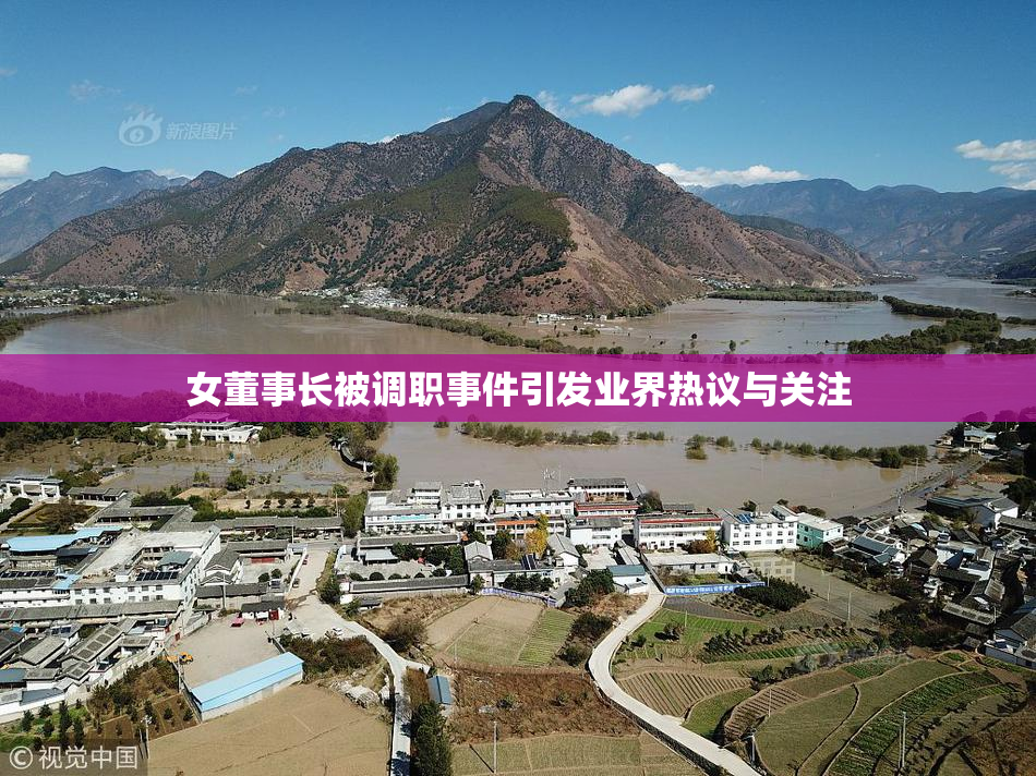 女董事长被调职事件引发业界热议与关注