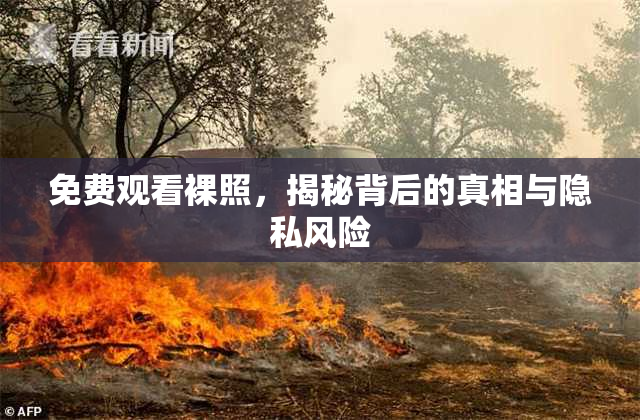 免费观看裸照，揭秘背后的真相与隐私风险