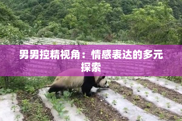男男控精视角：情感表达的多元探索
