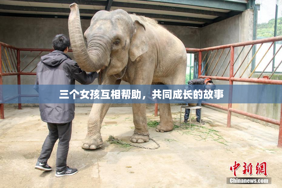 三个女孩互相帮助，共同成长的故事
