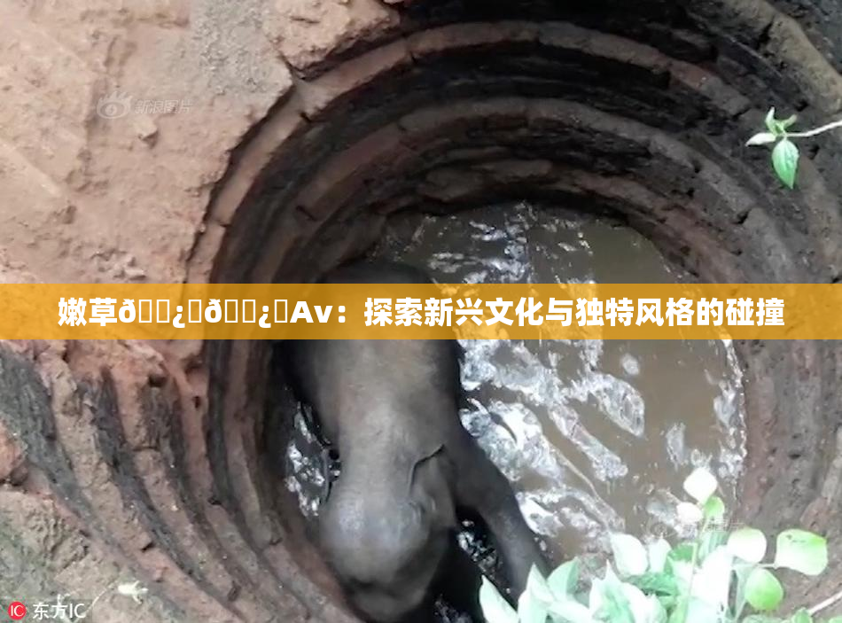 嫩草🌿‌🌿‌Av：探索新兴文化与独特风格的碰撞