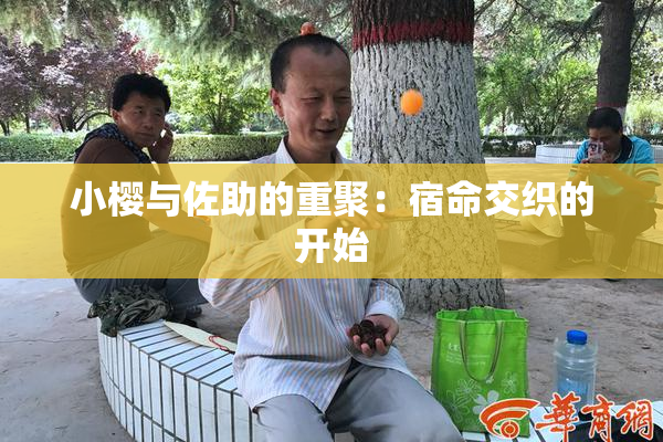 小樱与佐助的重聚：宿命交织的开始
