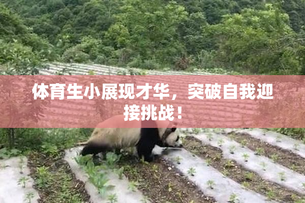 体育生小展现才华，突破自我迎接挑战！