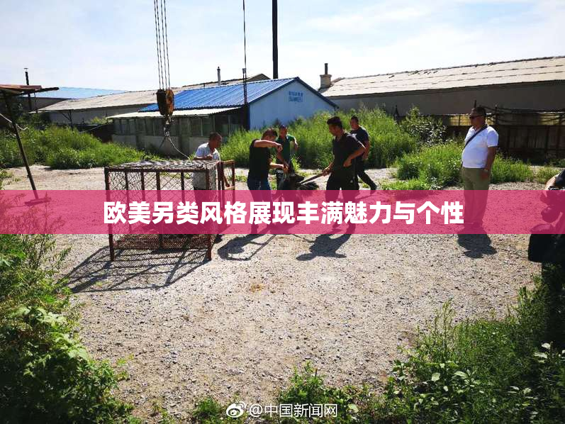 欧美另类风格展现丰满魅力与个性