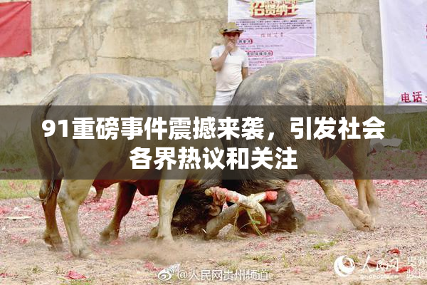 91重磅事件震撼来袭，引发社会各界热议和关注