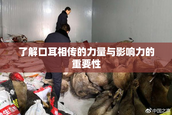 了解口耳相传的力量与影响力的重要性