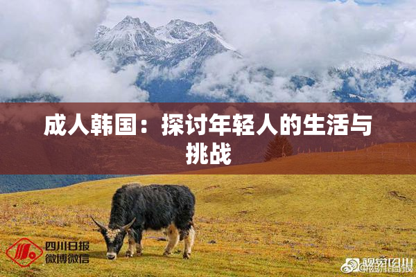 成人韩国：探讨年轻人的生活与挑战