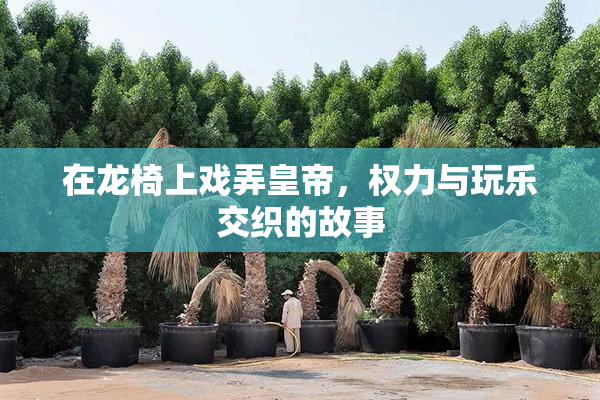 在龙椅上戏弄皇帝，权力与玩乐交织的故事