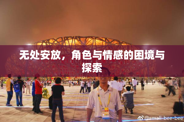无处安放，角色与情感的困境与探索