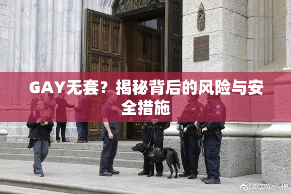 GAY无套？揭秘背后的风险与安全措施