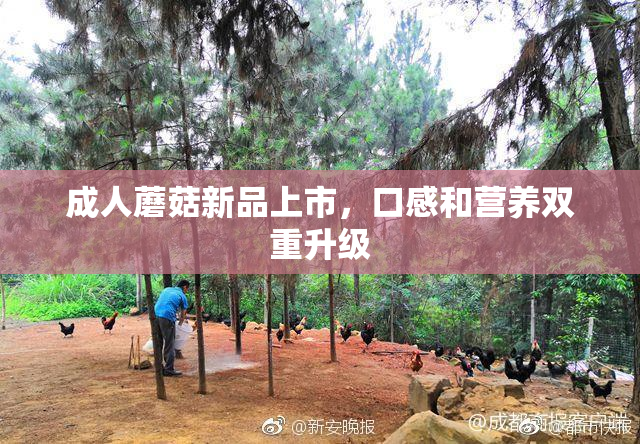 成人蘑菇新品上市，口感和营养双重升级
