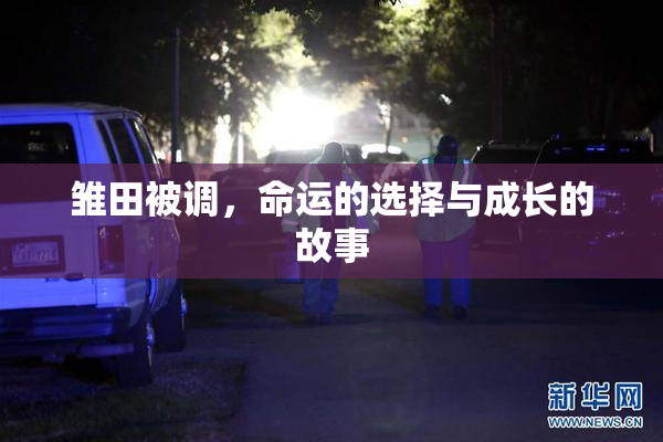 雏田被调，命运的选择与成长的故事
