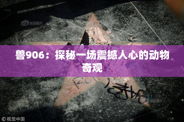 兽906：探秘一场震撼人心的动物奇观