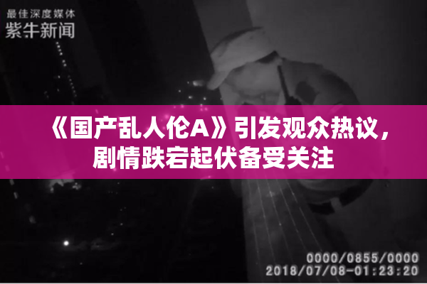 《国产乱人伦A》引发观众热议，剧情跌宕起伏备受关注
