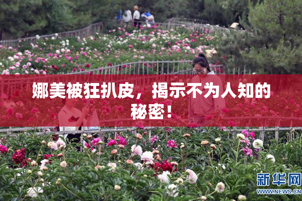娜美被狂扒皮，揭示不为人知的秘密！