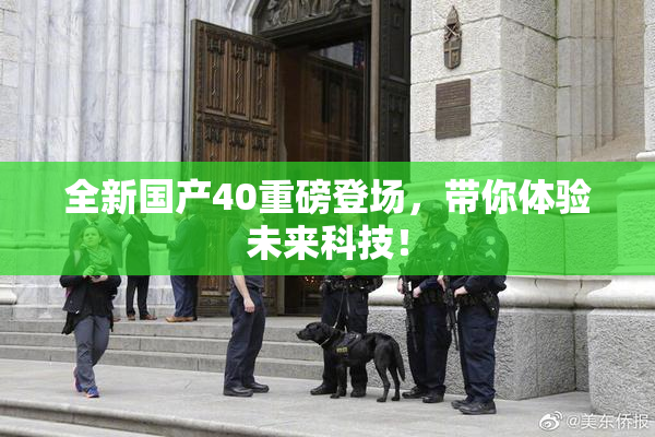 全新国产40重磅登场，带你体验未来科技！