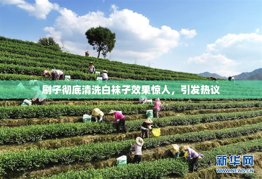 刷子彻底清洗白袜子效果惊人，引发热议