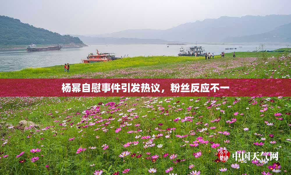 杨幂自慰事件引发热议，粉丝反应不一