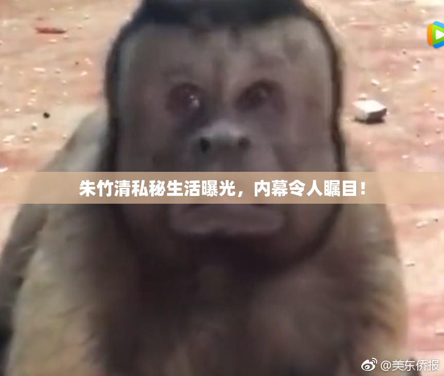 朱竹清私秘生活曝光，内幕令人瞩目！