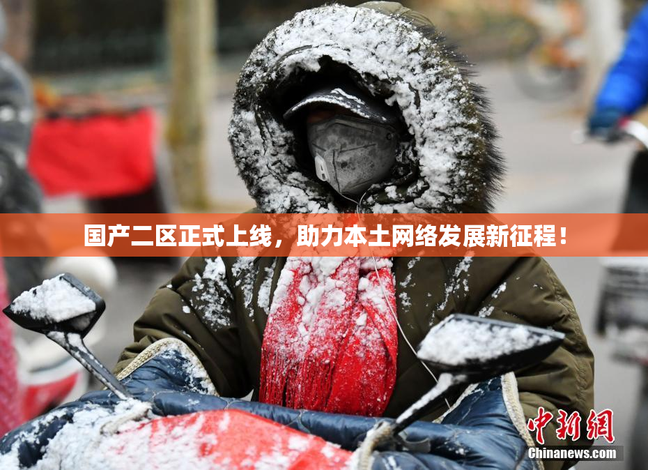 国产二区正式上线，助力本土网络发展新征程！