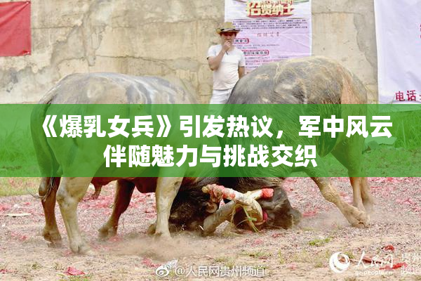 《爆乳女兵》引发热议，军中风云伴随魅力与挑战交织