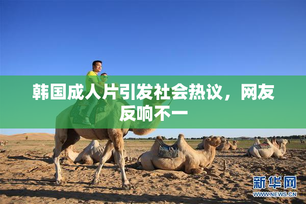 韩国成人片引发社会热议，网友反响不一