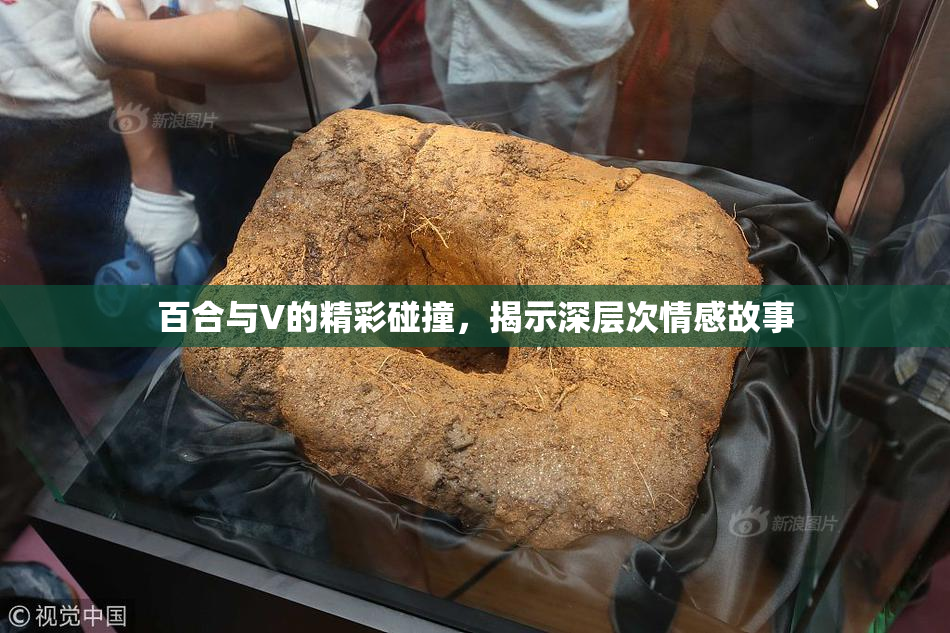 百合与V的精彩碰撞，揭示深层次情感故事