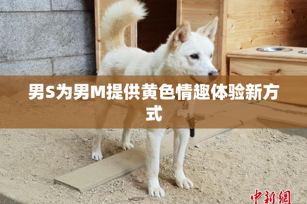 男S为男M提供黄色情趣体验新方式