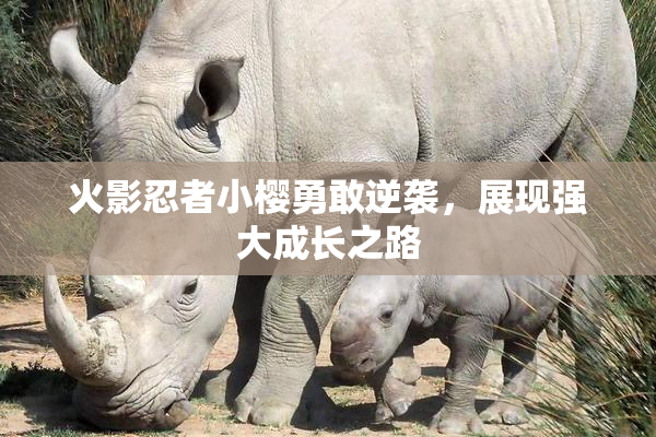 火影忍者小樱勇敢逆袭，展现强大成长之路