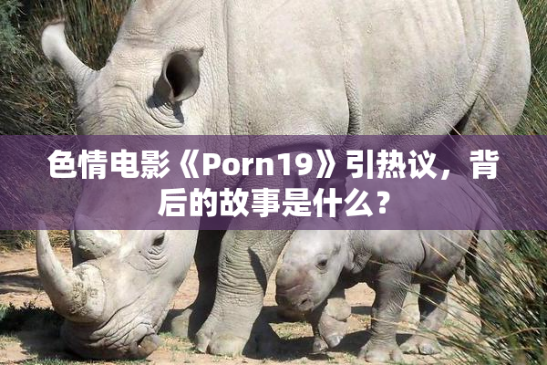 色情电影《Porn19》引热议，背后的故事是什么？