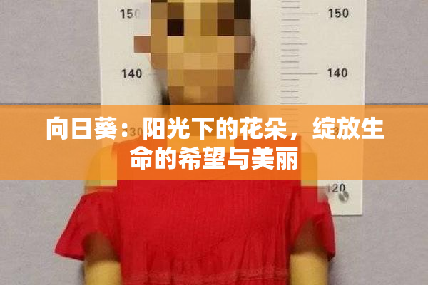 向日葵：阳光下的花朵，绽放生命的希望与美丽