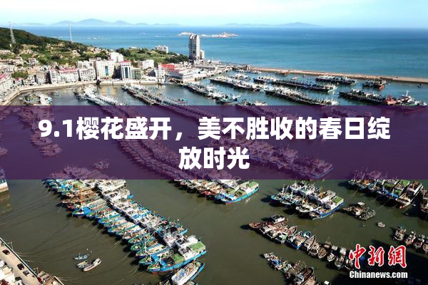 9.1樱花盛开，美不胜收的春日绽放时光