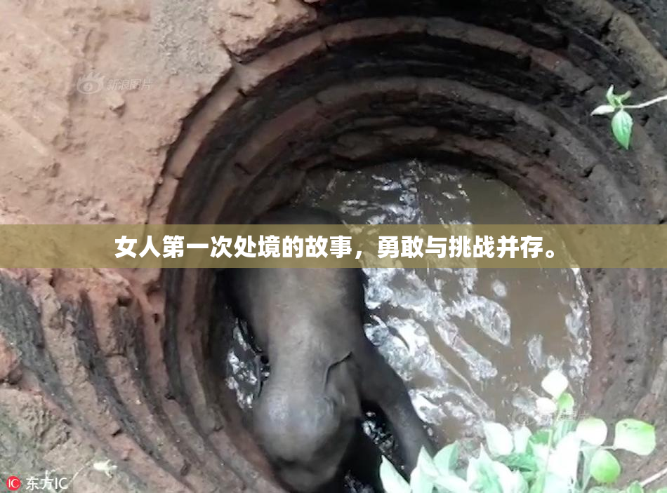 女人第一次处境的故事，勇敢与挑战并存。