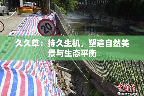 久久草：持久生机，塑造自然美景与生态平衡