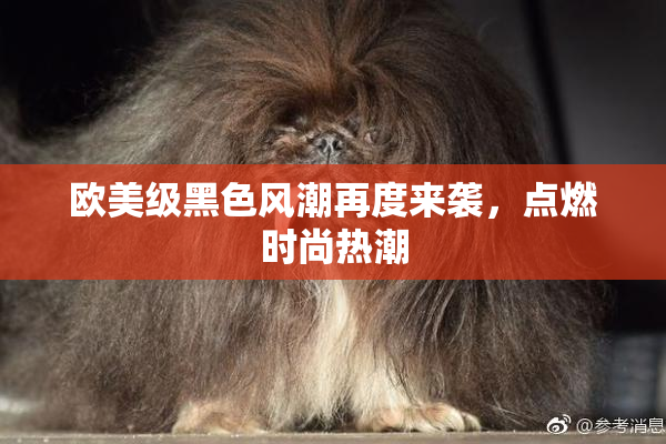 欧美级黑色风潮再度来袭，点燃时尚热潮