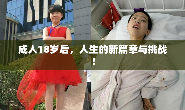 成人18岁后，人生的新篇章与挑战！