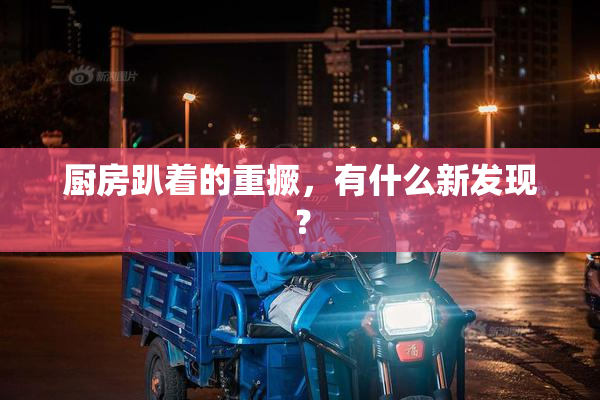厨房趴着的重撅，有什么新发现？
