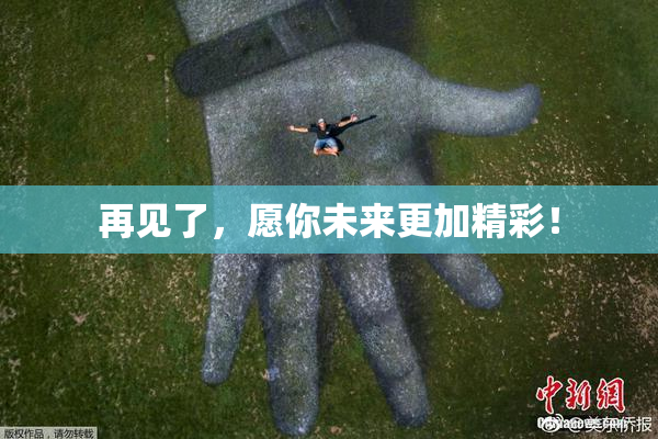 再见了，愿你未来更加精彩！