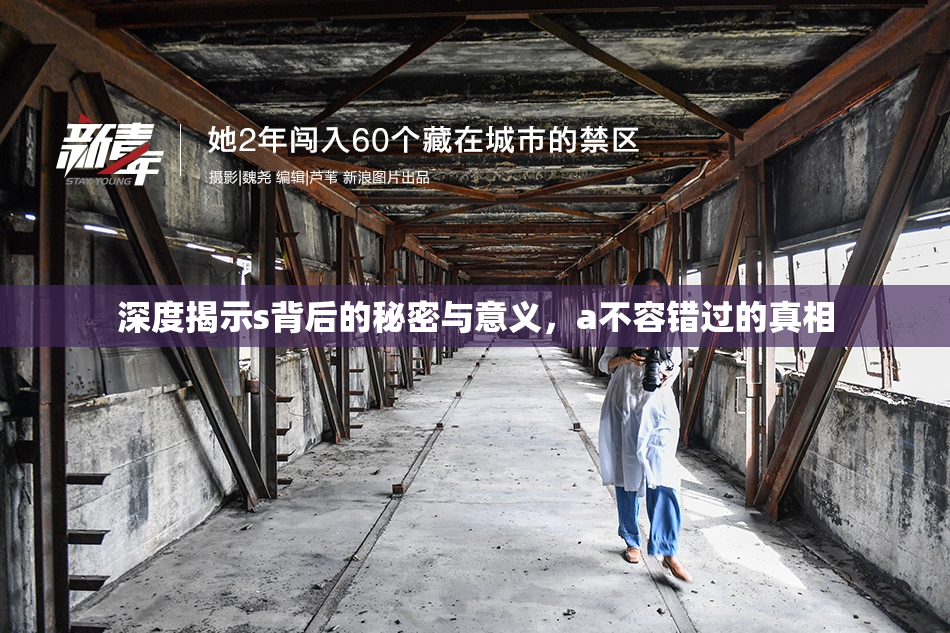 深度揭示s背后的秘密与意义，a不容错过的真相