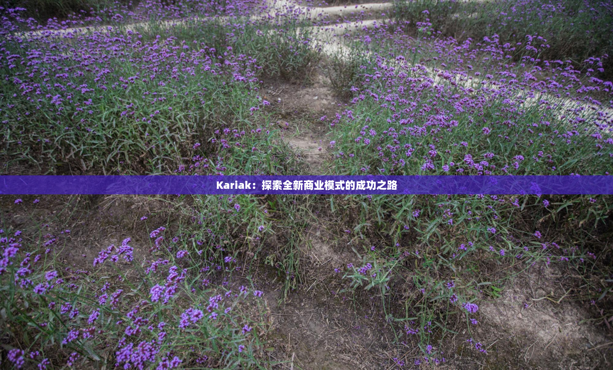 Kariak：探索全新商业模式的成功之路