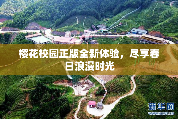 樱花校园正版全新体验，尽享春日浪漫时光
