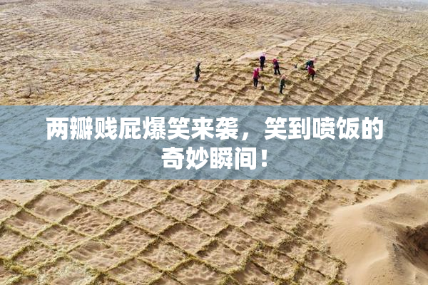 两瓣贱屁爆笑来袭，笑到喷饭的奇妙瞬间！