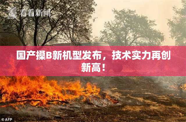 国产搡B新机型发布，技术实力再创新高！