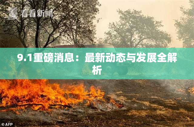 9.1重磅消息：最新动态与发展全解析